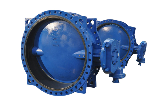lined type butterfly valve